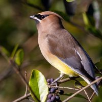 joshua-j-cotten-Ov-T0jJZzFM-unsplash